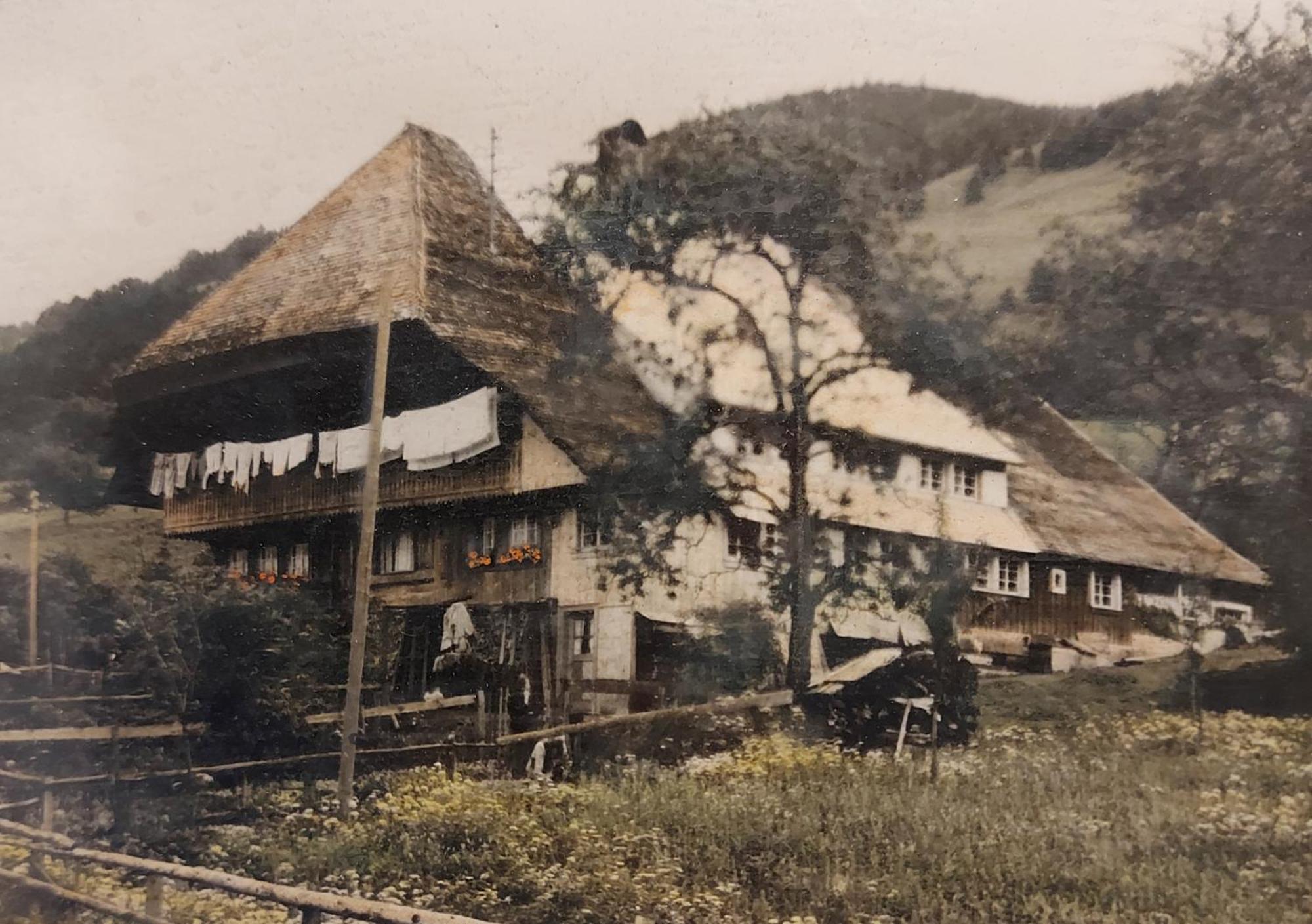 Ferienwohnungen Haus Hees Тодтнау Экстерьер фото