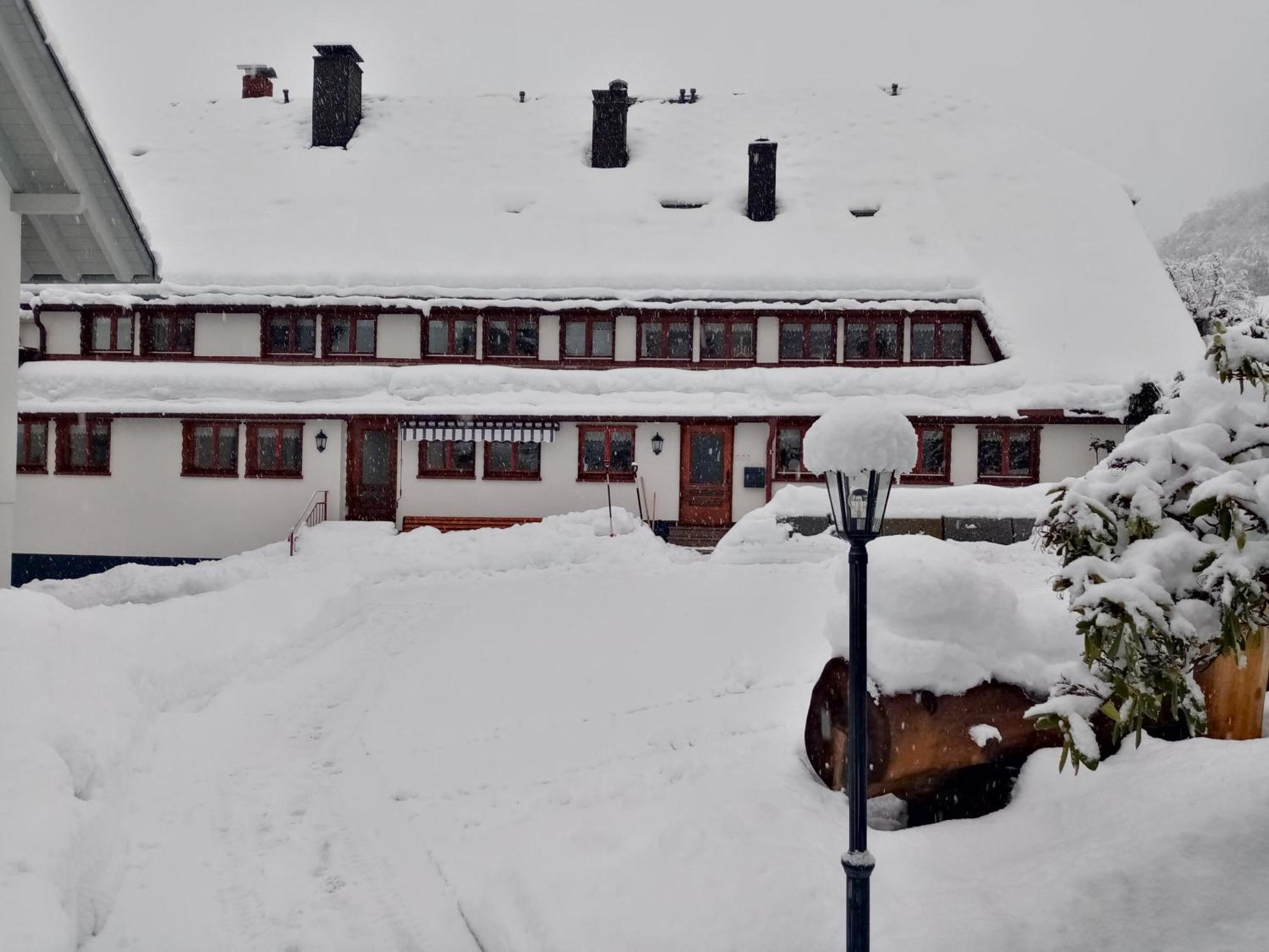 Ferienwohnungen Haus Hees Тодтнау Экстерьер фото