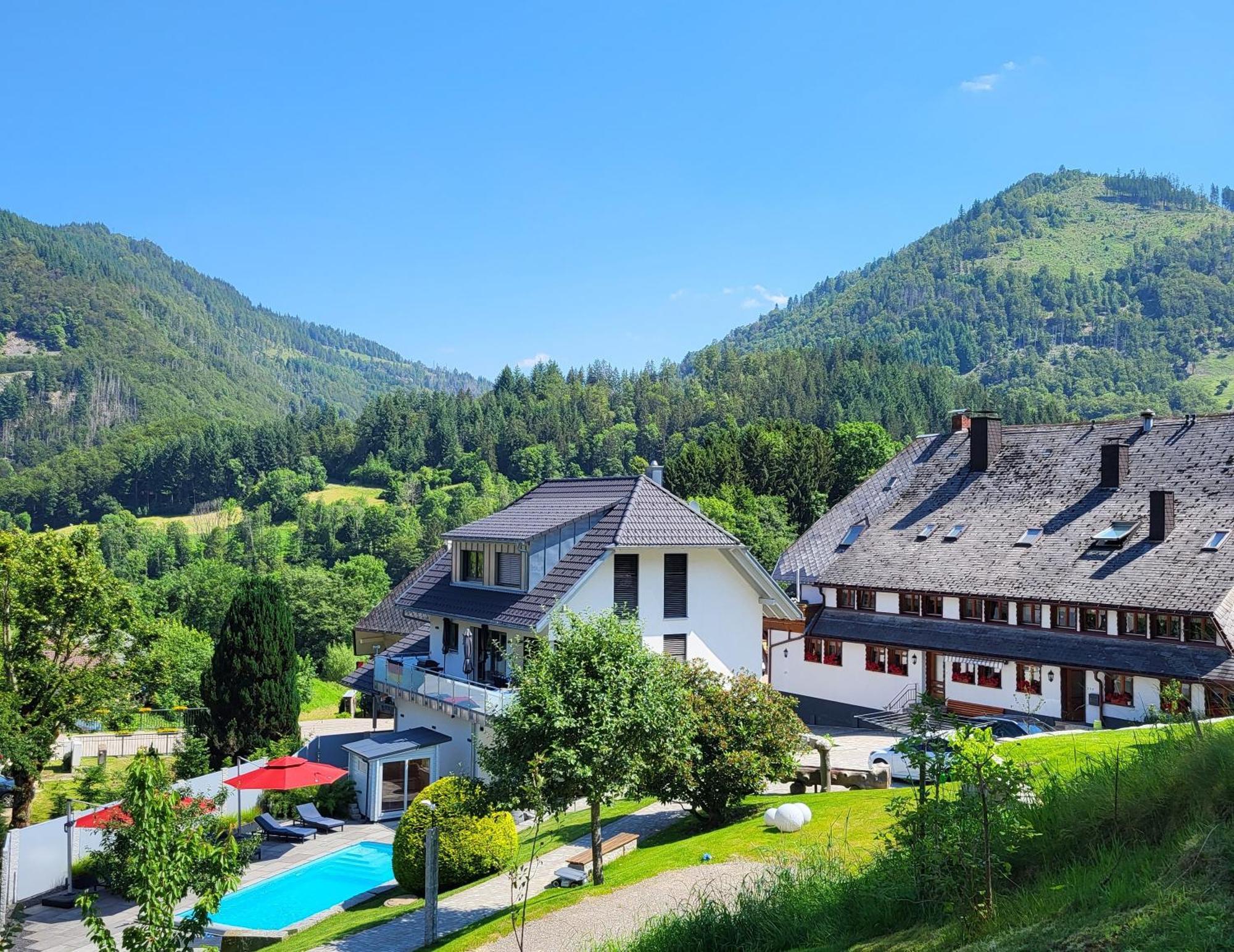 Ferienwohnungen Haus Hees Тодтнау Экстерьер фото